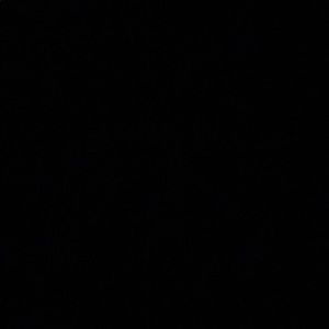 Meet your Posher, Sheila